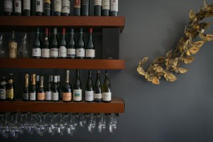 Bodhi's selection
